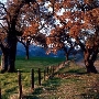 San Felipe Ranch Inc. / The Nature Conservancy California Program