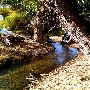 Onyx Ranch State Vehicular Recreation Area (SVRA)