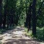 Ratto Ranch