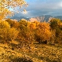 Onyx Ranch State Vehicular Recreation Area (SVRA)