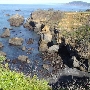 House on the Bluff, Westport, CA