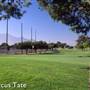 Cerritos Iron-Wood 9 Golf Course