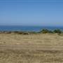 El Pescador State Beach @ Robert H. Meyer Memorial State Beach (SB) - CFC