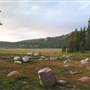 Tuolumne Meadows