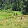 Hodgdon Meadows