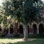 Saint Patrick Academy