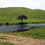 Tresch Dairy
