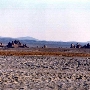 Trona Pinnacles - Ridgecrest District - Bureau of Land Management (BLM)