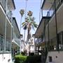 Mariposa Terrace - Roxbury