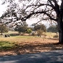 Bidwell Park Golf Course