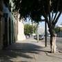 7th St. and Carondelet St.
