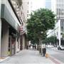 6th St. between Grand Ave. and Olive St.