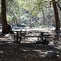 Angeles National Forest