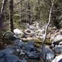 Angeles National Forest