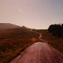 Bear River Ridge Road - Off HWY 101