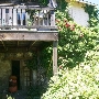Blue Rock Vineyard