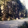 Eyesee Road - National Forest Rd. 15