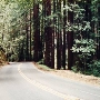 Highway 236 - Felton