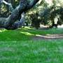Chumash Indian Museum