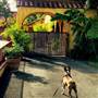Paradise Ranch Pet Resort