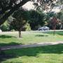 The Quail