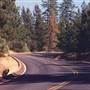 Jones Valley Rd. Shasta