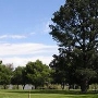 Brannan Island State Recreation Area (SRA)