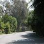 Chapman Woods Neighborhood Streets