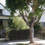 West Adams Neighborhood Historic District