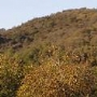 Olompali State Historic Park (SHP)