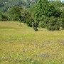 Spennymoor Ranch