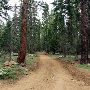 Burton Creek State Park (SP)