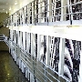California Institution for Men (CIM)