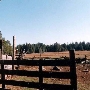 Butte Meadows