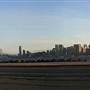 San Francisco Skyline Views