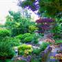 Japanese Tea Garden - San Mateo Central Park & Recreation Center