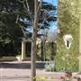 Historic Hotel Woodland