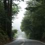 Skyline Boulevard - Highway 35