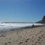 Sycamore Cove State Beach (SB) & Campground @ Point Mugu State Park (SP) - CFC