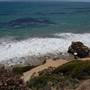 El Matador State Beach @ Robert H. Meyer Memorial State Beach (SB) - CFC