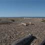 Emma Wood State Beach (SB)