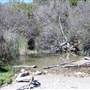 El Capitan State Beach (SB)