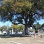 Angelus-Rosedale Cemetery