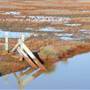 Arcata Marsh and Wildlife Sanctuary