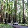 Mattole Road (2)