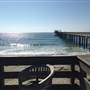 Blacks Beach and Scripps Institution of Oceanography Pier @ UC San Diego - UCSD