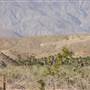 Indio Hills Palms Park Property