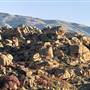 Santa Susana Pass State Historic Park (SHP) and former Spahn Movie Ranch