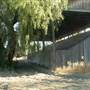 Hemet Stock Farm