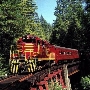 Skunk Train - California Western Railroad
